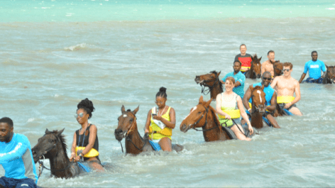 water horses- jamaica.PNG